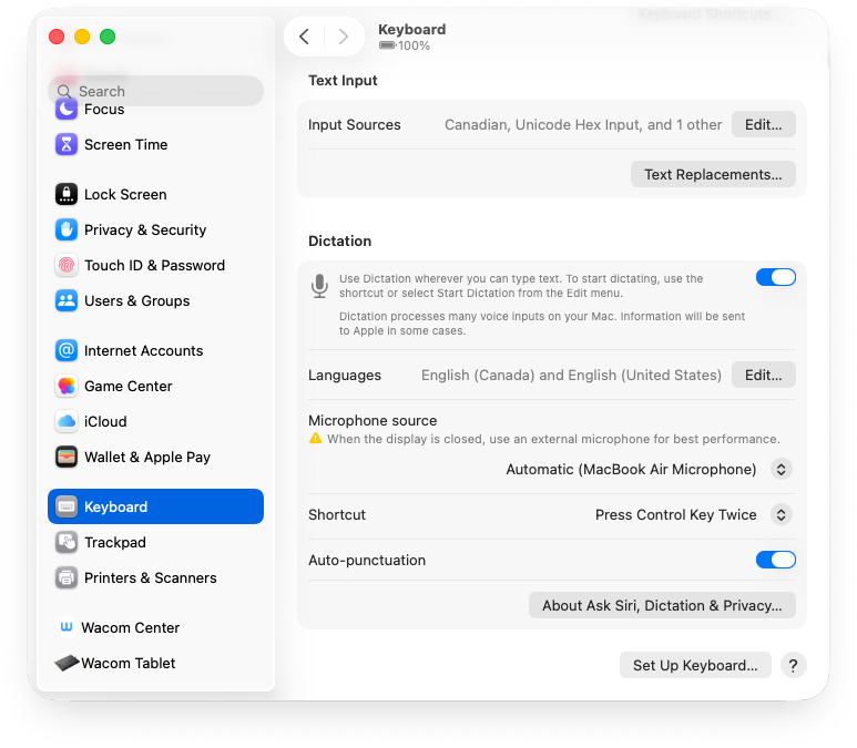 Speech Recognition setting