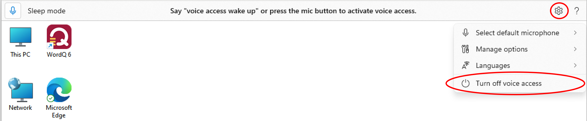 TurnOffVoiceAccess