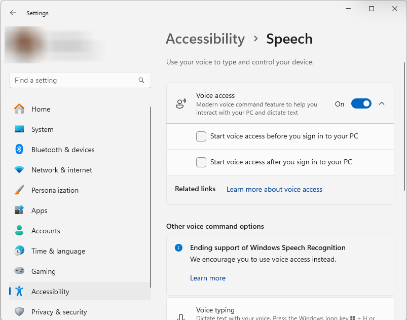 Voice Access dialog